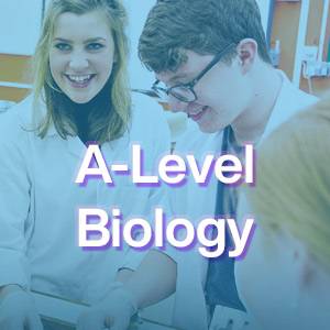 A Level Biology Chichester